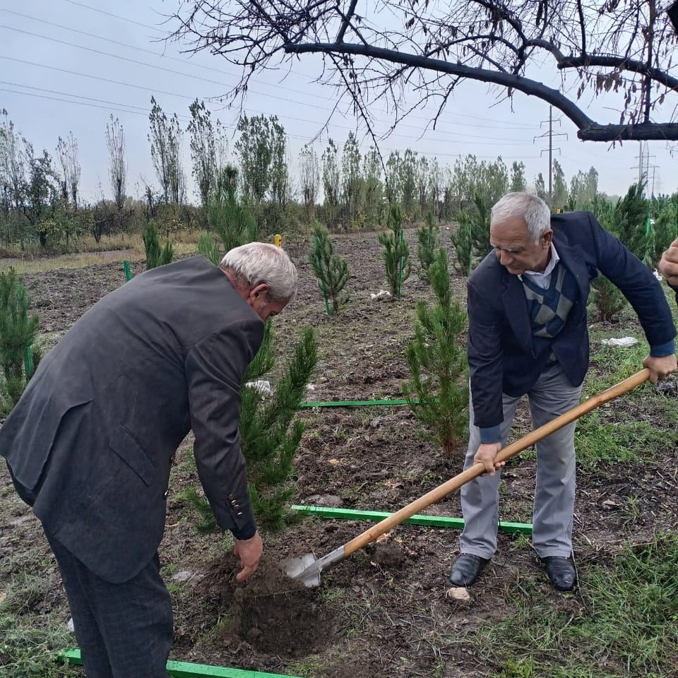 "Gələcəyimiz üçün bir ağac əkək" devizi altında ağacəkmə aksiyası keçirilmişdir