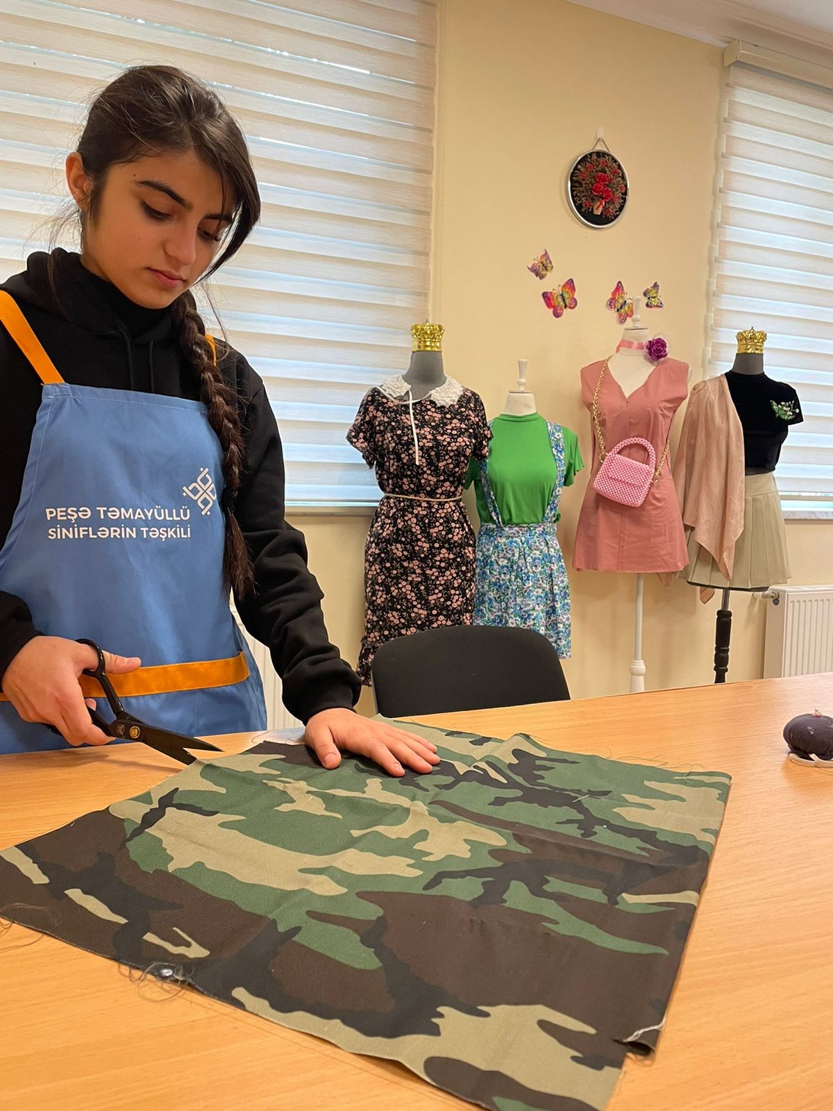 Peşə Təmayüllü Siniflərin təşkili layihəsi icra olunur.