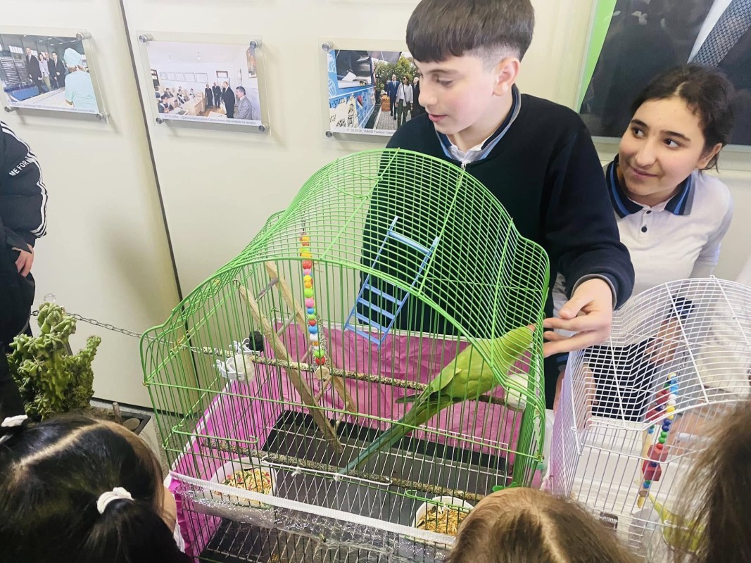 "Biologiya aylığı" çərçivəsində heyvanlar aləminə həsr olunmuş xüsusi sərgi keçirilmişdir